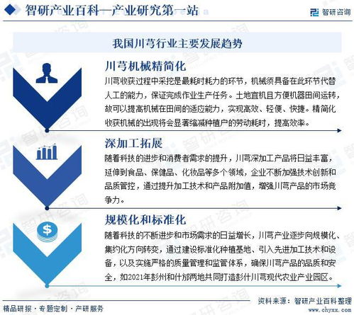 中國川芎行業(yè)發(fā)展驅(qū)動因素與市場運行格局分析報告